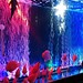 LED-Beleuchtung Aquarium