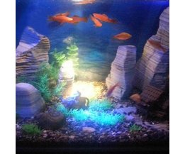 LED-Beleuchtung Aquarium