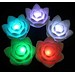 Nacht Bunte Blumen