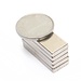 Neodymium Rare Earth Magnet