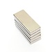 Neodymium Rare Earth Magnet