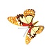 Klaproos- And Butterfly-Wandaufkleber
