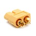 XT60 Stecker Männlich Und Weiblich