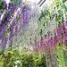 Künstliche Blumen Wisteria Kaufen