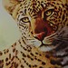 Leinwand-Malerei 5-Stück-Leopard