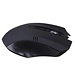 Wireless Optical Mouse