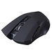 Wireless Optical Mouse