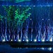 LED-Beleuchtung Für Aquarium