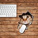 Mousepad Mit Katze