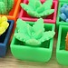 Mini-Kaktus Für Kinder 48 Stück