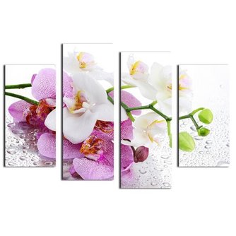 Meerluik Malerei Mit Einer Orchidee