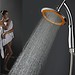 Edelstahl Showerhead (Mit Oder Ohne Schlauch)