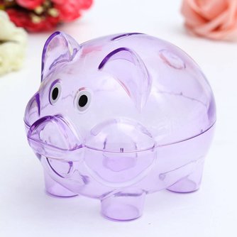 Piggy Bank Transparent Plastic Kinder