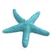 Farbige Starfish Mini 5.5 Cm