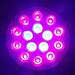 Wachsen LED Light Purple Licht Displays