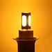 E11 COB-LED-Lampe In Zwei Farben 7W