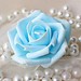 Foam Roses Romantische 50Pcs