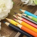 Crayons Set