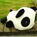 Panda Kissing In Drei Verschiedenen Größen