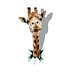 PAG 3D Wandaufkleber Mit Einer Giraffe