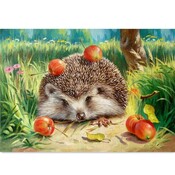 Ein Igel Malen Nach Zahlen 40X50Cm