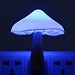 Mit LED-Glühlampe