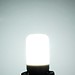 Matt LED Leuchtmittel Mit E12 Fassung