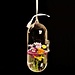 Trendy Hang Vase Borosilicatglas