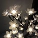 LED-Lampen-Baum Mit Blüten