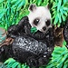 Kühlschrankmagnet Panda Peking