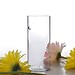 Glaswand Vase Blumen Und Pflanzen