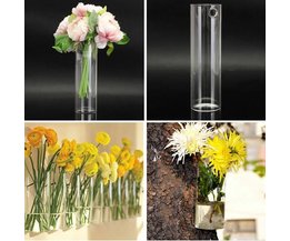 Glaswand Vase Blumen Und Pflanzen