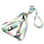 Gurte Mit Verstellbarem Griff Und Nette Gurte Mit Verstellbarem Griff Und Nette