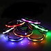 LED-Hundehalsband (M)