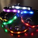 LED-Hundehalsband (M)