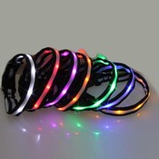 LED-Hundehalsband (M)