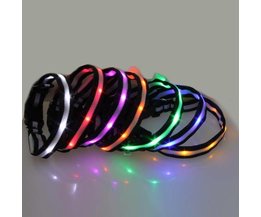 LED-Hundehalsband (M)