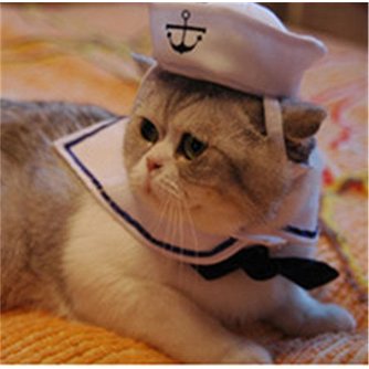 Kleidung Hund Katze Sailor