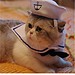 Kleidung Hund Katze Sailor