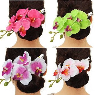 Orchid Für Haar