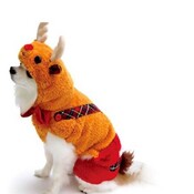 Hundekostüm Weihnachten Rentier