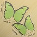 Sticky Notes Schmetterling 40 Stück