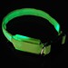 LED Hundehalsband