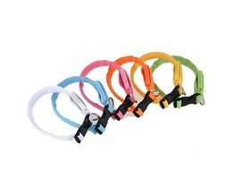 LED Hundehalsband