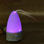 Fragrance Diffuser