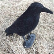 Schwarz Kunststoff Crow Tuindecoratie