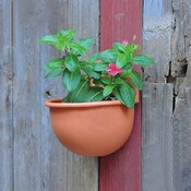 Für Flowerpot On The Wall