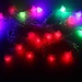 LED-String-Licht Mit Roses 4 Meter