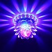 Disco LED-Beleuchtung Lotus