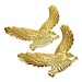 Aufkleber In Der Form Eines Raptor